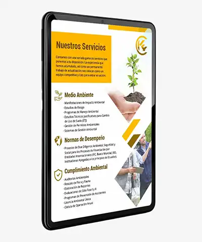 Diseño de brochures